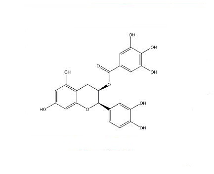 表兒茶素沒(méi)食子酸酯|1257-08-5