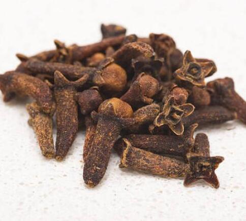 丁香 CARYOPHYLLI FOLS