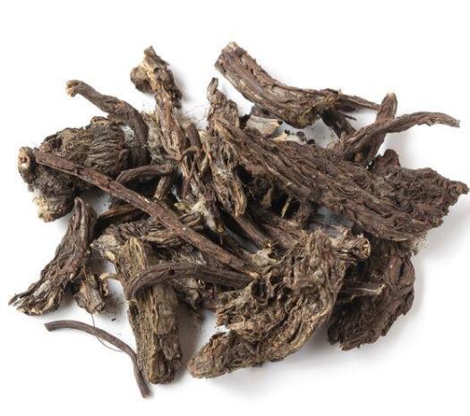 漏蘆(祁州漏蘆) RHAPONTICI RADIX