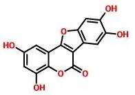 普菲德專(zhuān)題產(chǎn)品推薦-墨旱蓮系列(圖5) 普菲德專(zhuān)題產(chǎn)品推薦-墨旱蓮系列(圖5)