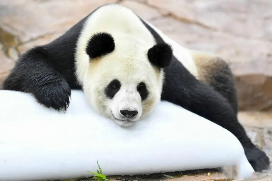 微信圖片_20220712090234.png 微信圖片_20220712090234.png