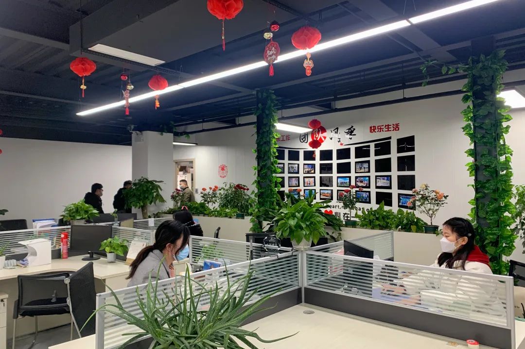 新年新氣象下的普菲德！