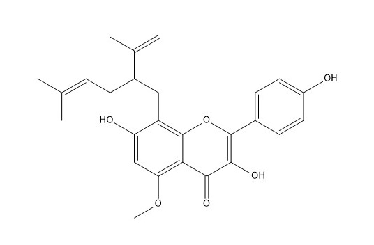 5-methoxy-7,4'-dihydroxy-8-lavandulylflavonol?